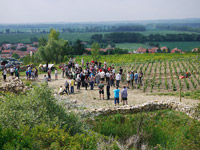 Akce Návrat ke kořenům (8.6.2011), Terasy nad obcí Přítluky